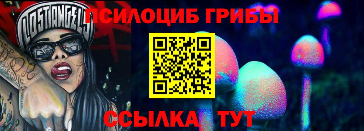 Псилоцибиновые грибы Cubensis Берёзовский