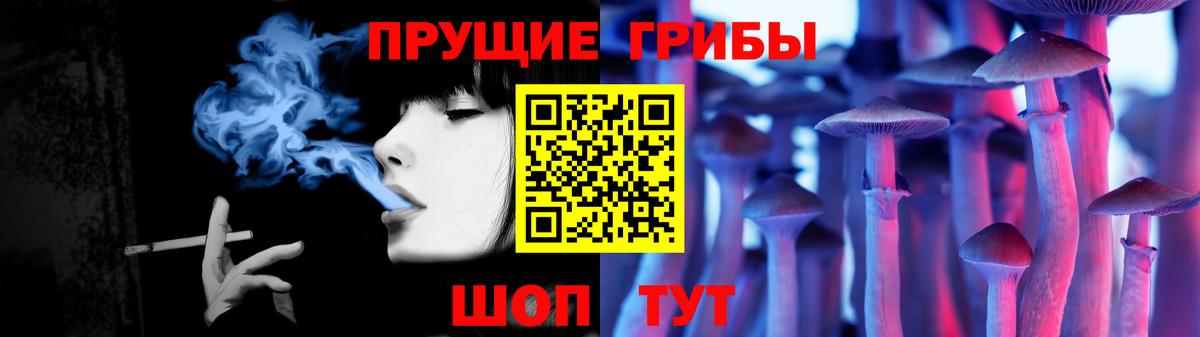 Галлюциногенные грибы Cubensis  Вход с VPN  Берёзовский 
